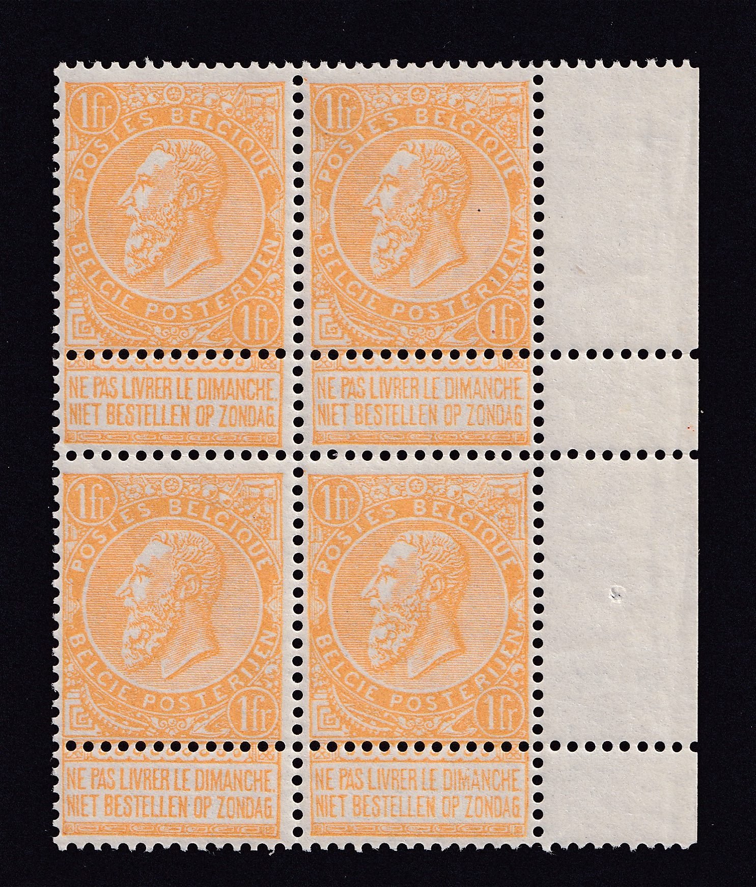 collection-03 img-20240719-0006